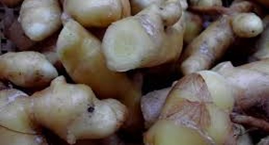 Manfaat Temu Mangga Atasi Iritasi Lambung